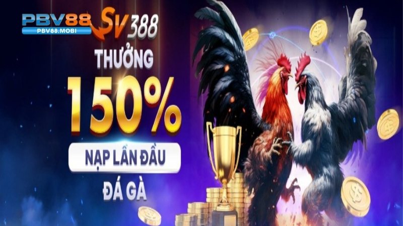 da ga thomo pbv88 1