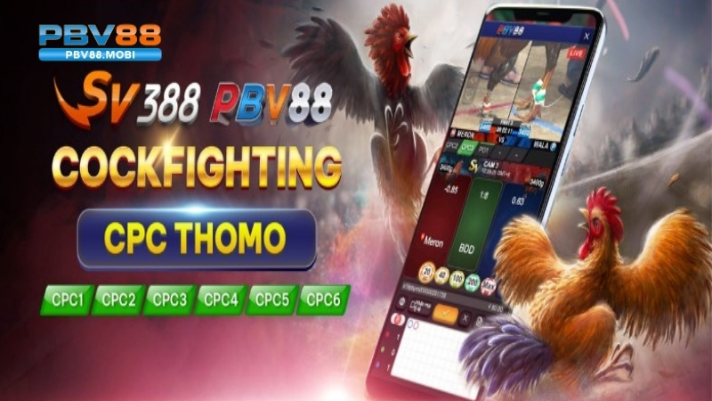 da ga thomo pbv88 2