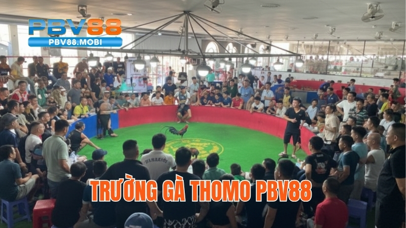 da ga thomo pbv88 3